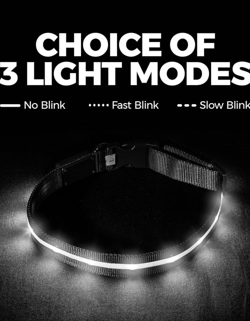 Load image into Gallery viewer, ' Safety LED Dog Collar – USB Rechargeable with Water Resistant Flashing Light
