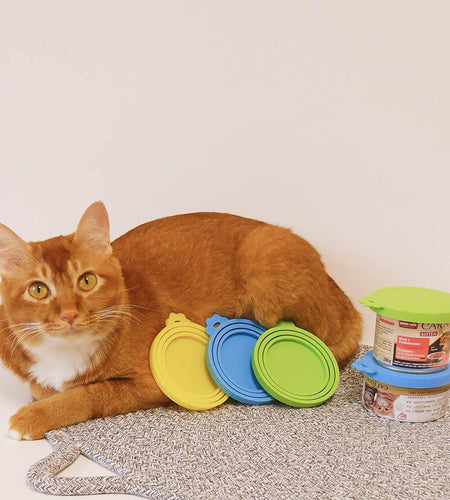 Pet Food Can Lids, Silicone Can Lids Covers for Dog and Cat Food, Universal Size Fits All Standard Size Dog and Cat Can Tops (3 Pack & Spoon, Multi-Colored)