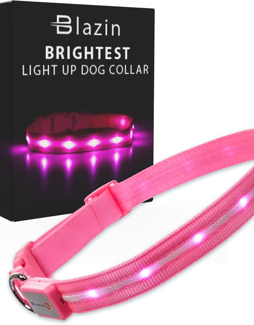 Load image into Gallery viewer, ' Safety LED Dog Collar – USB Rechargeable with Water Resistant Flashing Light
