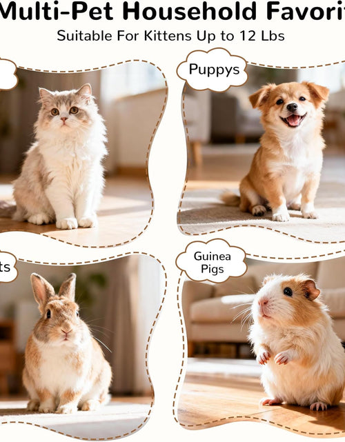 Load image into Gallery viewer, Pet Cat Tunnel Tube Cat Toys 3 Way Collapsible, Cat Tunnels for Indoor Cats，Kitty Tunnel Bored Cat Pet Toys Peek Hole Toy Ball Cat, Puppy, Kitty, Kitten, Rabbit
